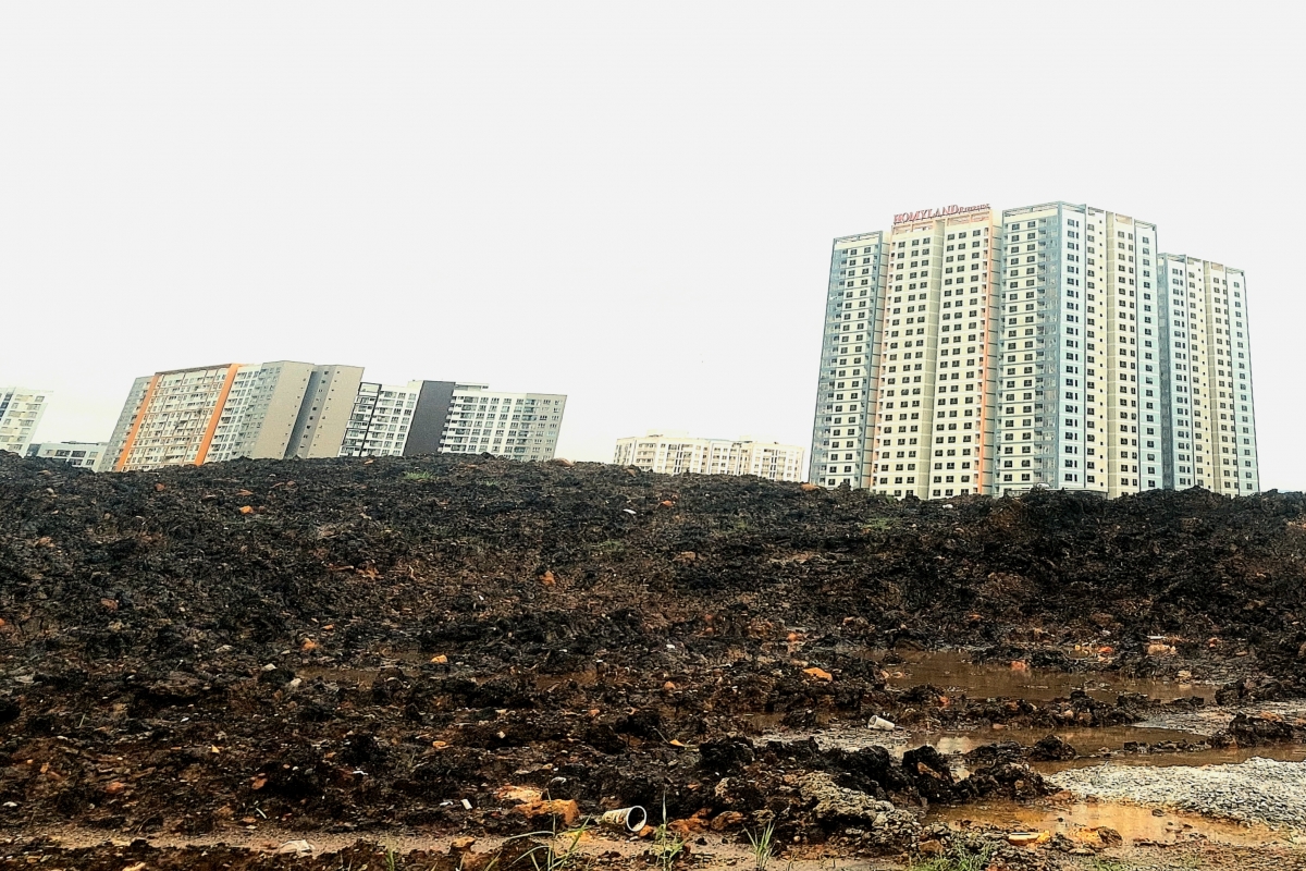 TP. Hồ Chí Minh triển khai đồng bộ 5 giải pháp để nâng cao chất lượng môi trường sống