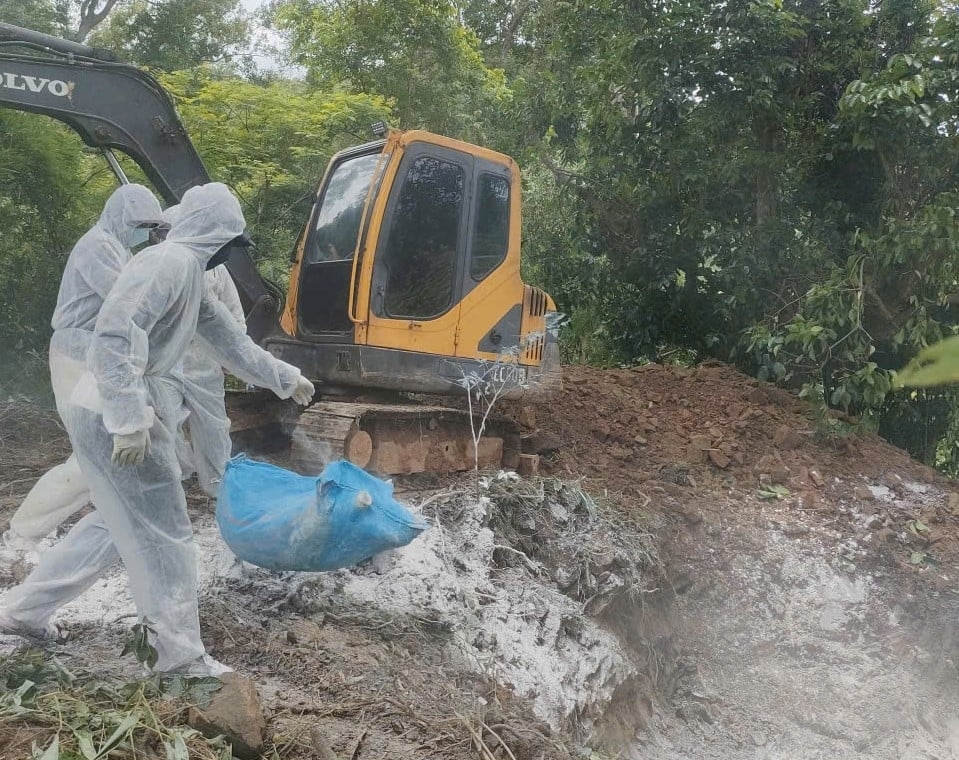 Bảo vệ môi trường chăn nuôi, Đắk Lắk lập 4 chốt kiểm dịch 24/24 để ngăn dịch tả lợn Châu Phi Bảo vệ môi trường chăn nuôi, Đắk Lắk lập 4 chốt kiểm dịch 24/24 để ngăn dịch tả lợn Châu Phi