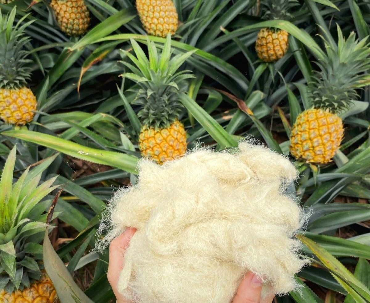 Đến Phiên chợ Xanh - Tử tế, nghe chuyện cỏ rác hóa “vàng”