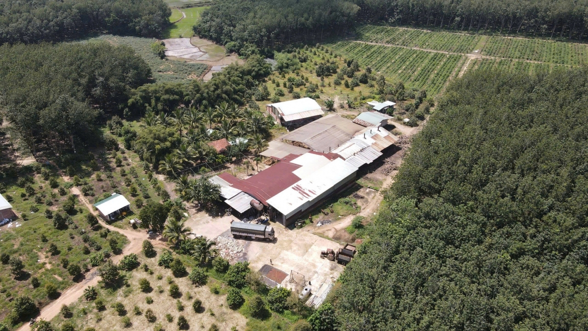 Kiểm tra và lập biên bản một số xưởng chế biến cao su hoạt động tự phát, tác động đến môi trường