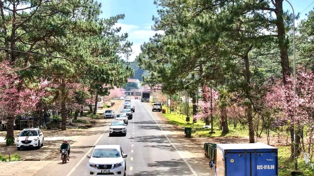 Măng Đen: Khát vọng trở thành trung tâm nghỉ dưỡng thiên nhiên của Việt Nam Măng Đen: Khát vọng trở thành trung tâm nghỉ dưỡng thiên nhiên của Việt Nam