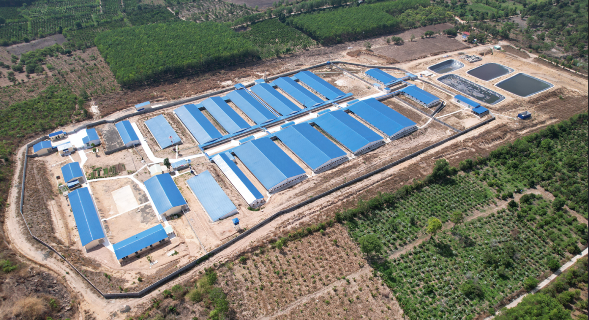 Gia Lai phê duyệt kế hoạch kiểm tra môi trường năm 2025: Hướng tới phát triển bền vững Gia Lai phê duyệt kế hoạch kiểm tra môi trường năm 2025: Hướng tới phát triển bền vững