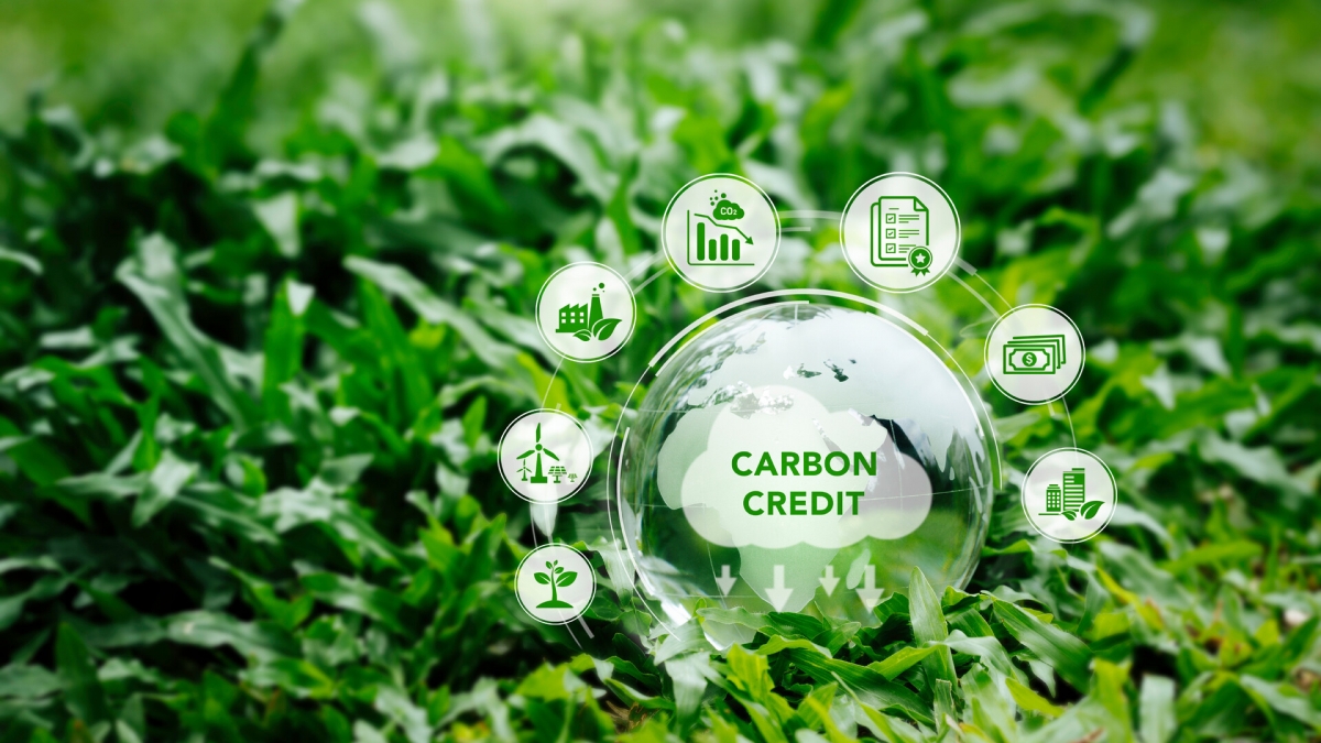 kết hợp xử lý chất thải và phát triển các mô hình giảm phát thải carbon chính là chìa khóa để Việt Nam vừa bảo vệ môi trường, vừa tham gia sâu hơn vào thị trường carbon quốc tế kết hợp xử lý chất thải và phát triển các mô hình giảm phát thải carbon chính là chìa khóa để Việt Nam vừa bảo vệ môi trường, vừa tham gia sâu hơn vào thị trường carbon quốc tế