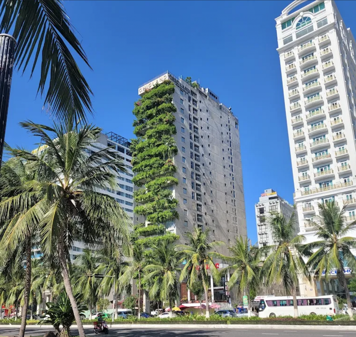 Đà Nẵng: Phạt doanh nghiệp chế biến sâm Ngọc Linh vì xả thải gây ô nhiễm