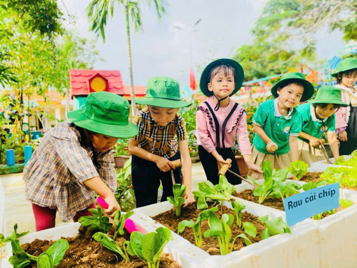 Nỗ lực Nỗ lực