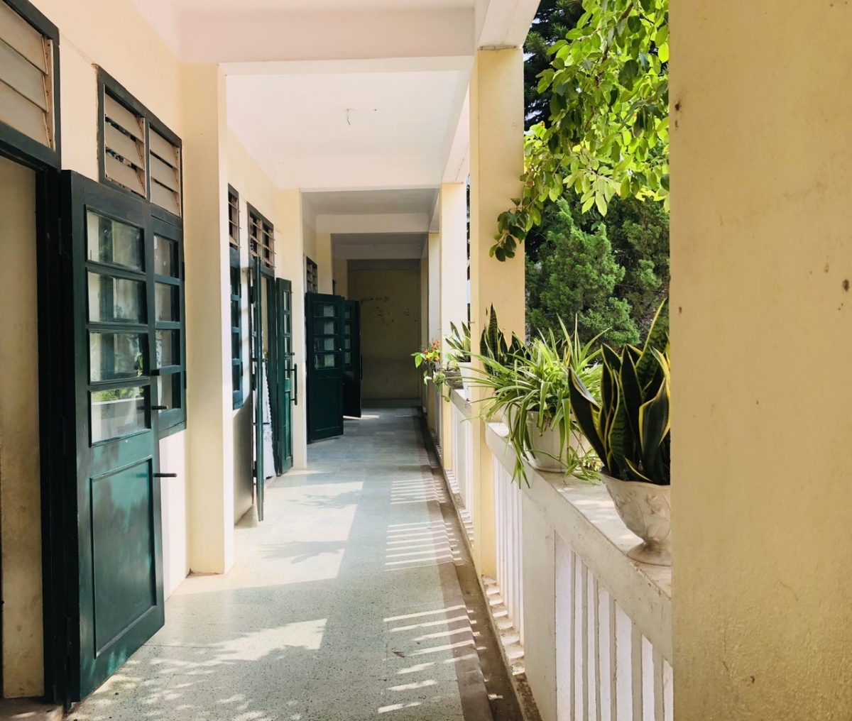 Nỗ lực Nỗ lực