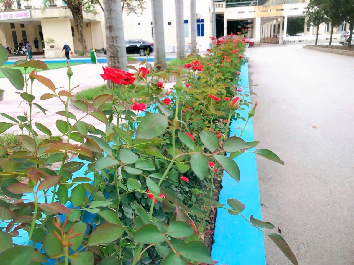 Xây dựng mô hình "bệnh viện xanh, sạch, đẹp" – Hướng đi bền vững cho ngành Y tế hiện đại