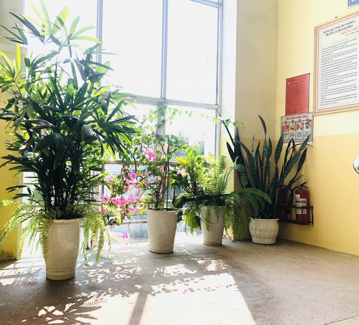 Xây dựng mô hình "bệnh viện xanh, sạch, đẹp" – Hướng đi bền vững cho ngành Y tế hiện đại