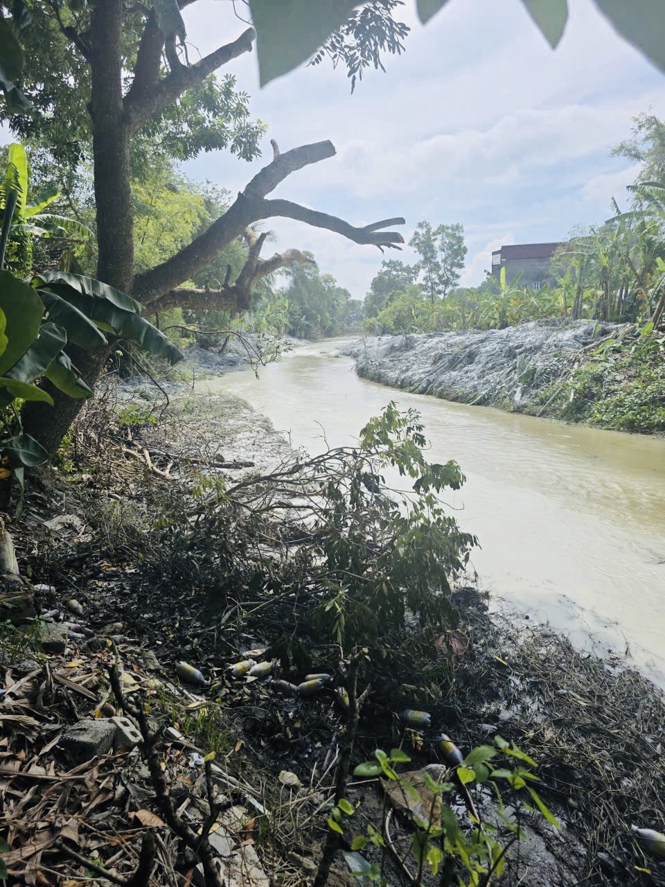 Vứt rác ra lòng sông, kênh mương: Hành vi nhỏ, hậu quả lớn