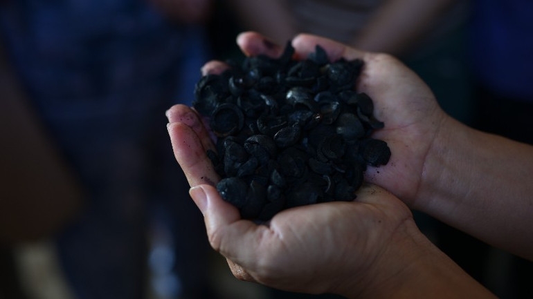 Than sinh học chất lượng cao thu được từ lò khí hóa