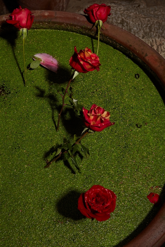 Triển lãm “Little Hanoi, Next Generation”: Giao lưu hai nền văn hóa Séc - Việt Nam