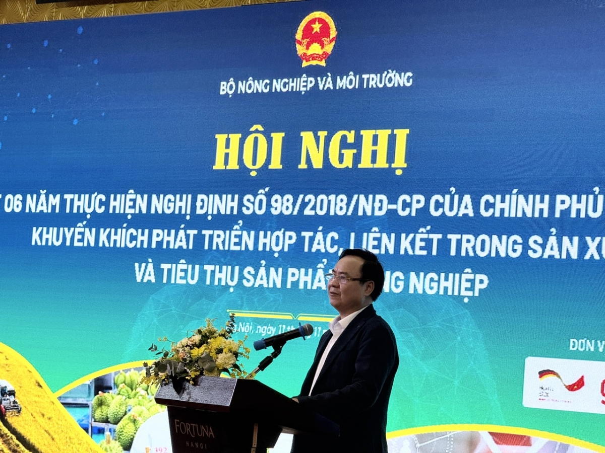 Sơ kết 6 năm thực hiện Nghị định số 98/2018/NĐ-CP về chính sách khuyến khích phát triển hợp tác, liên kết trong sản xuất và tiêu thụ sản phẩm nông ngh