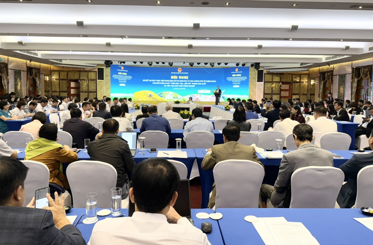Sơ kết 6 năm thực hiện Nghị định số 98/2018/NĐ-CP về chính sách khuyến khích phát triển hợp tác, liên kết trong sản xuất và tiêu thụ sản phẩm nông ngh