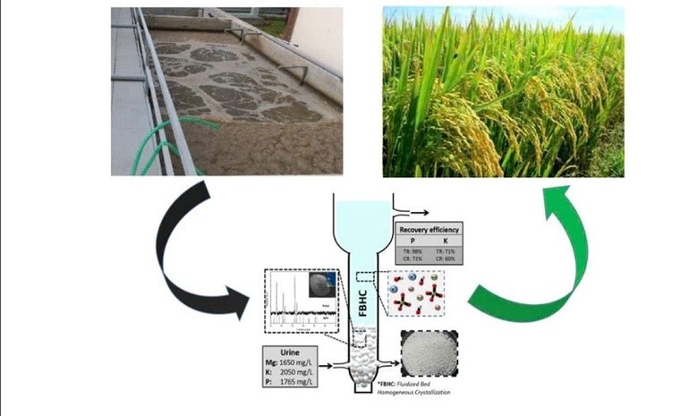 Sơ đồ tổng quan công nghệ FHBC thu hồi NPK trong nước thải chăn nuôi lợn và tái sử dụng làm phân bón khoảng nhả chậm.