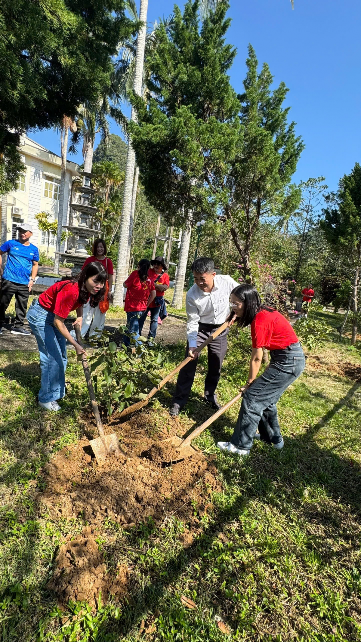 Hoạt động trồng cây tại VQG Cát Bà