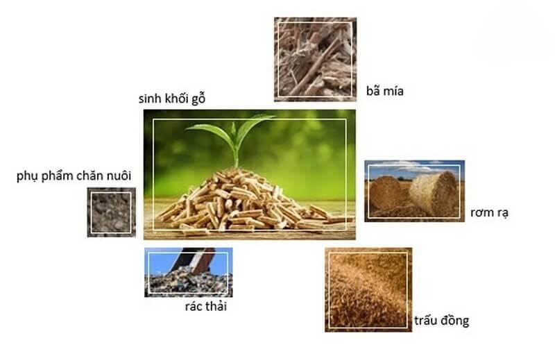 Việt Nam cần một chiến lược đồng bộ, bao gồm cả chính sách, công nghệ, tài chính và chuỗi cung ứng để hiện thực hóa việc phát triển năng lượng sinh khối Việt Nam cần một chiến lược đồng bộ, bao gồm cả chính sách, công nghệ, tài chính và chuỗi cung ứng để hiện thực hóa việc phát triển năng lượng sinh khối