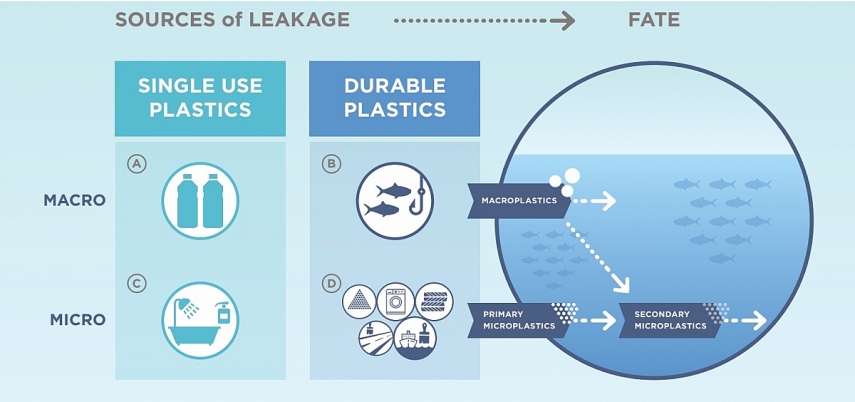 Đường đi của vi nhựa Đường đi của vi nhựa