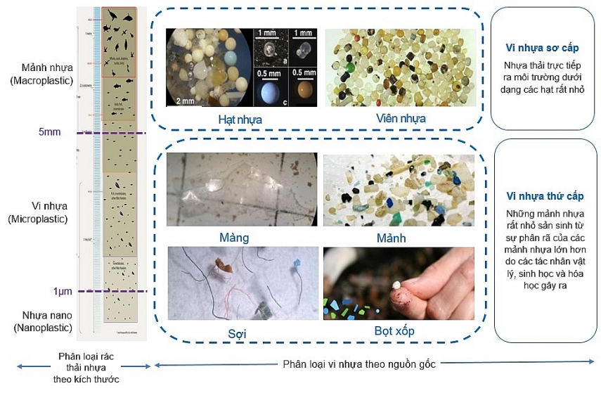 Phân loại chất thải nhựa theo kích thước và nguồn gốc. Nguồn: Raymond Mason (2018), Truong Tran Nguyen San (2021) Phân loại chất thải nhựa theo kích thước và nguồn gốc. Nguồn: Raymond Mason (2018), Truong Tran Nguyen San (2021)