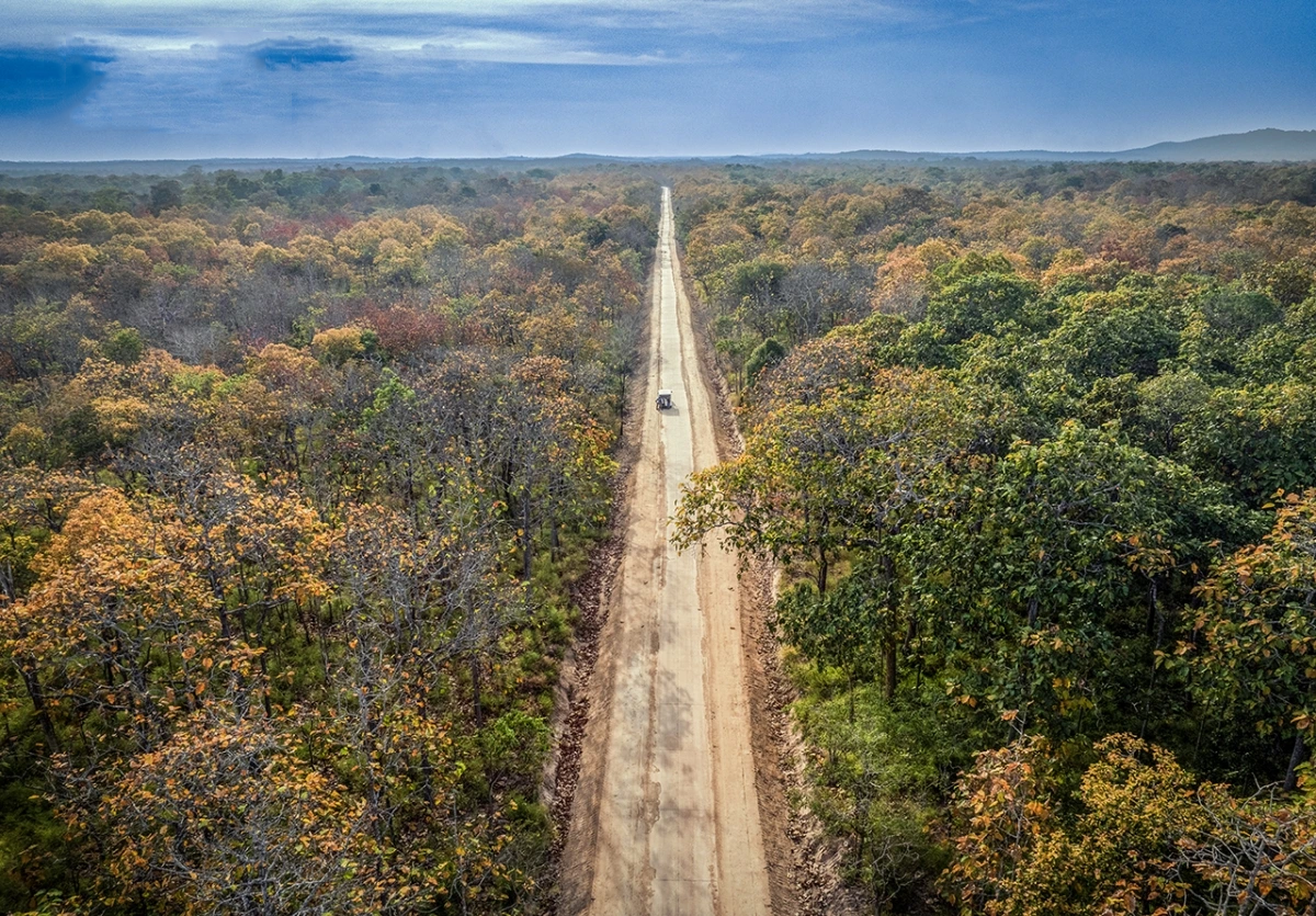 Tín chỉ carbon rừng tại Đắk Lắk và Lâm Đồng, cơ hội phát triển kinh tế gắn với bảo vệ môi trường rừng Tín chỉ carbon rừng tại Đắk Lắk và Lâm Đồng, cơ hội phát triển kinh tế gắn với bảo vệ môi trường rừng