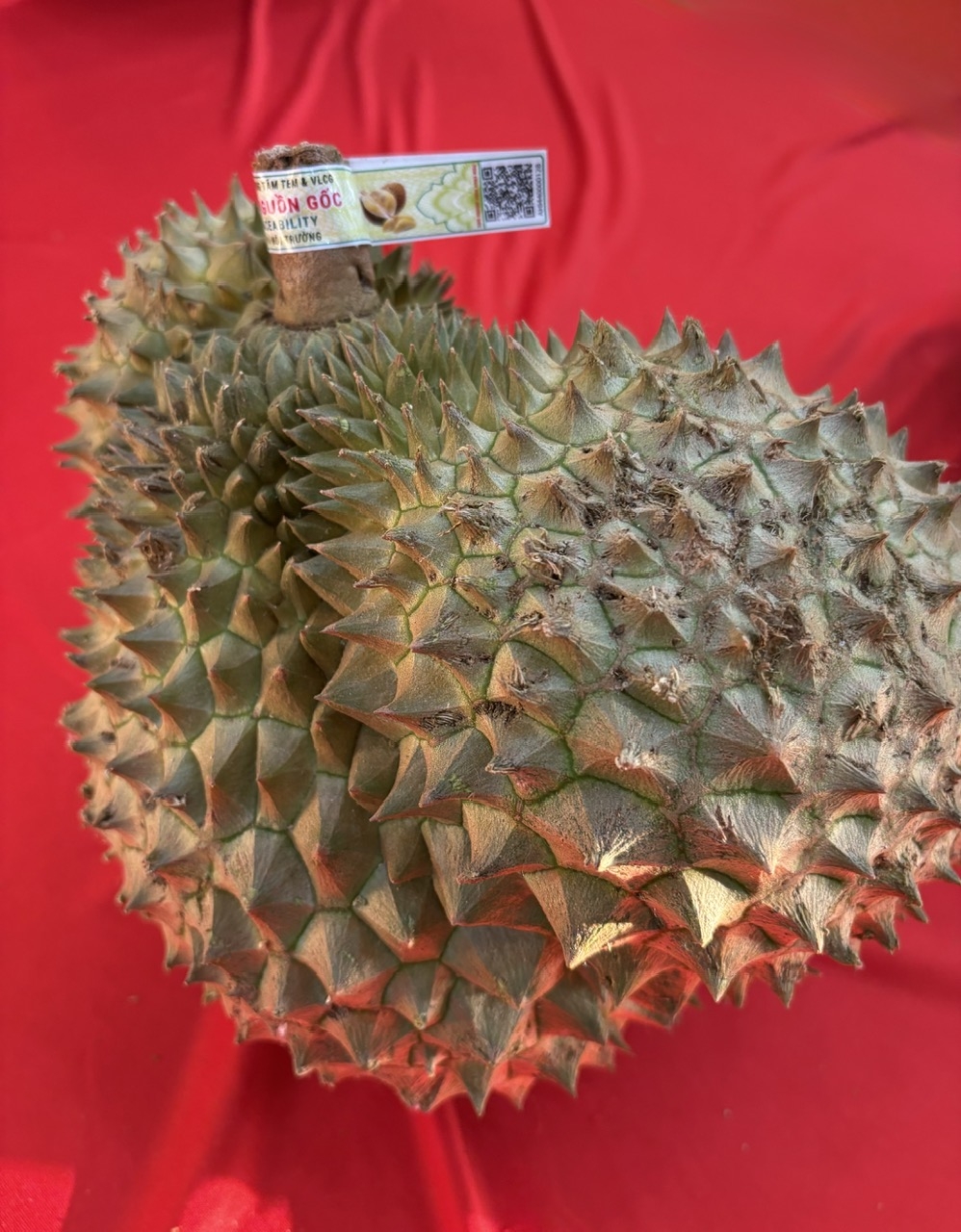 Chính thức ra mắt hệ thống truy xuất nguồn gốc nông sản Việt Nam