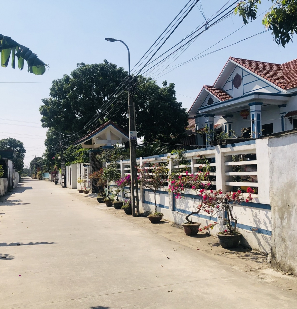 Chuyển biến mạnh mẽ trong nhận thức của người dân về môi trường trong xây dựng Nông thôn mới Chuyển biến mạnh mẽ trong nhận thức của người dân về môi trường trong xây dựng Nông thôn mới