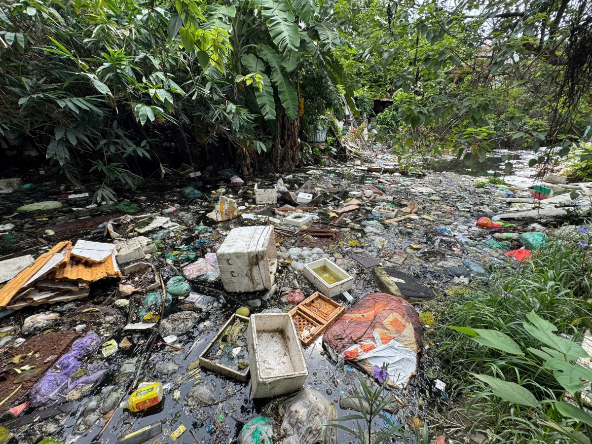 Hà Nội Xanh - Những bước chân lội bùn “đánh thức” dòng sông chết