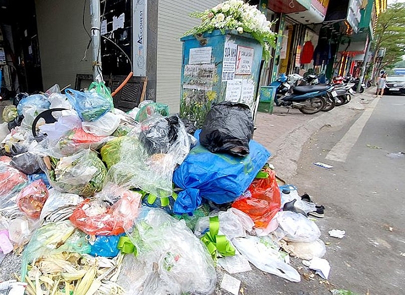 Rác hữu cơ chiếm tới 62–78% tổng lượng chất thải sinh hoạt.