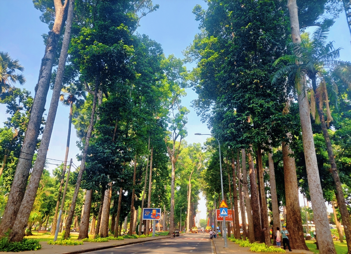 Chào xuân Bính Ngọ - Chào kỷ nguyên xanh của thành phố