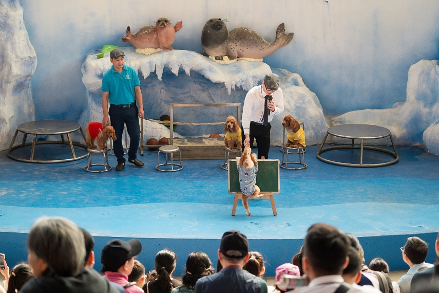 Lễ hội du xuân đặc sắc chào Tết Bính Ngọ 2026 tại Công viên Thiên đường Bảo Sơn Lễ hội du xuân đặc sắc chào Tết Bính Ngọ 2026 tại Công viên Thiên đường Bảo Sơn