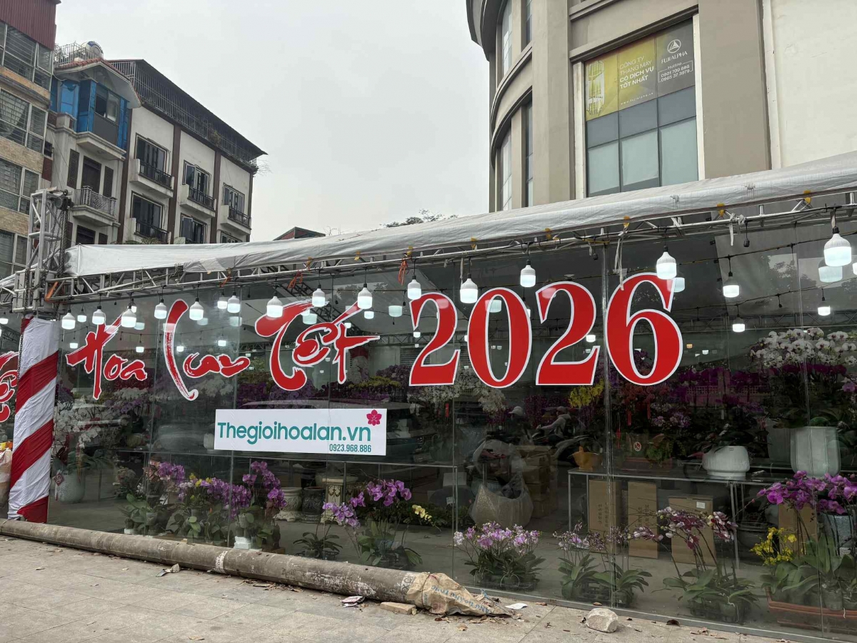 Lan hồ điệp “xuống phố”, thị trường hoa sôi động dịp cận Tết Bính Ngọ 2026 Lan hồ điệp “xuống phố”, thị trường hoa sôi động dịp cận Tết Bính Ngọ 2026