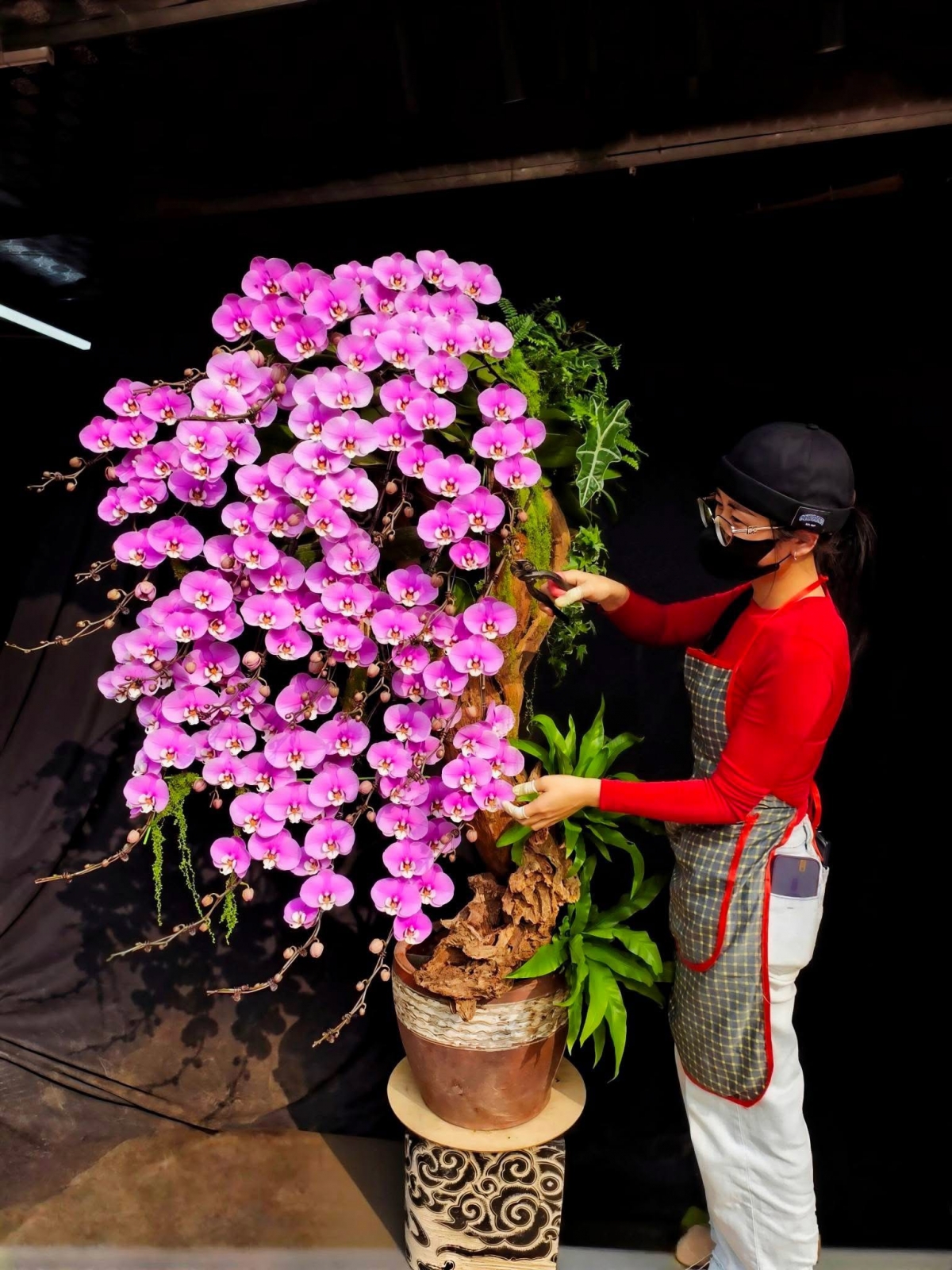 Lan hồ điệp “xuống phố”, thị trường hoa sôi động dịp cận Tết Bính Ngọ 2026 Lan hồ điệp “xuống phố”, thị trường hoa sôi động dịp cận Tết Bính Ngọ 2026