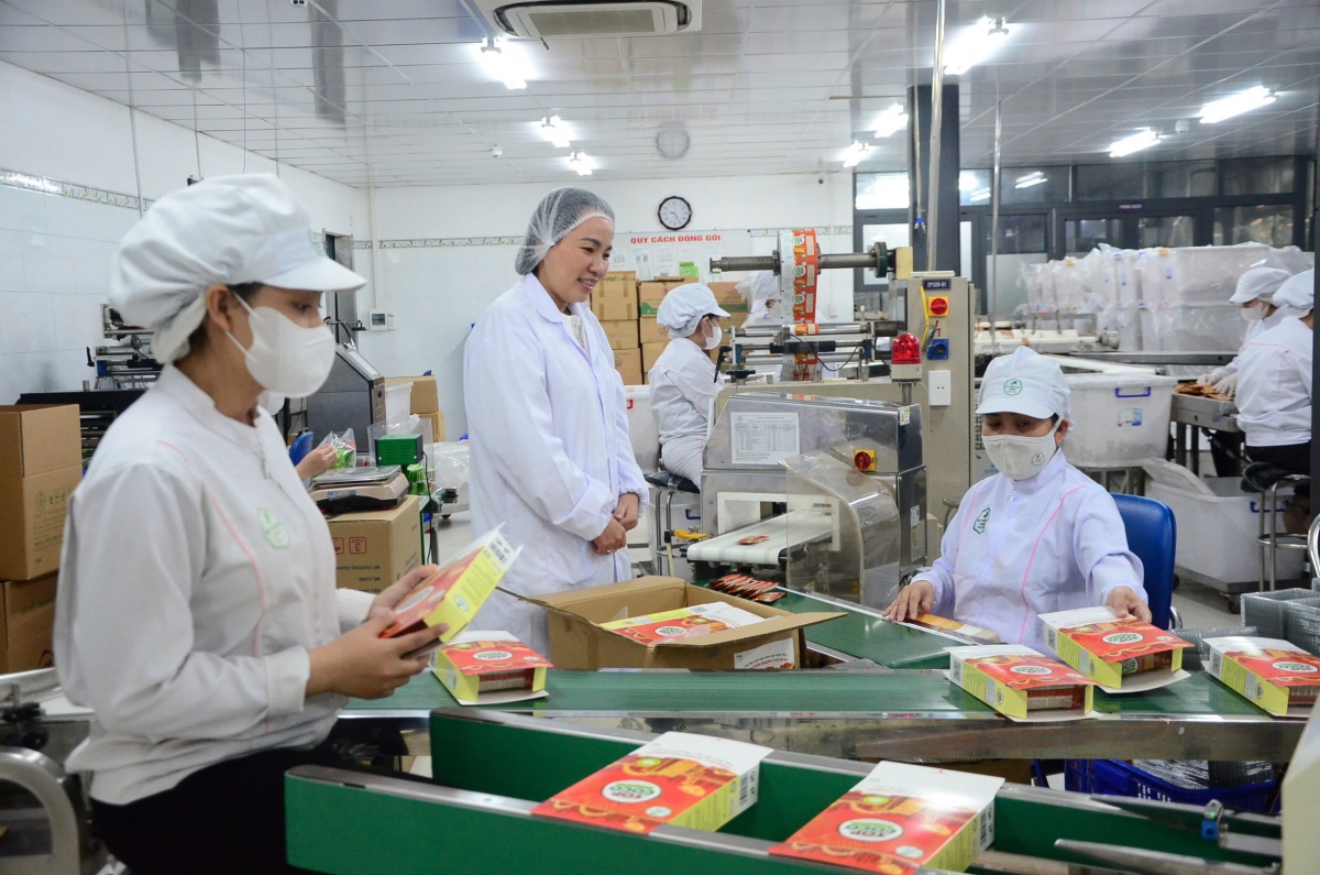 Từ xưởng sản xuất, những hộp bánh dừa sẵn sàng cho hành trình đến tay người tiêu dùng