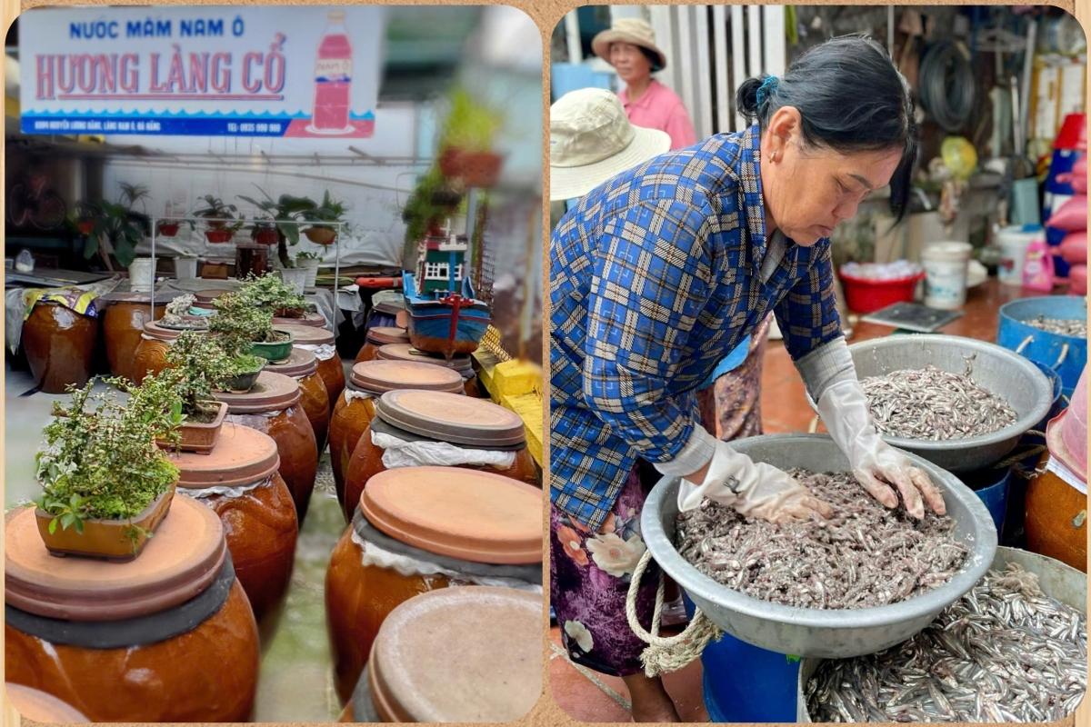 Những chum mắm Nam Ô lặng lẽ phơi mình dưới nắng biển – nơi Tết đến trong mùi mắm chín, kết tinh từ thời gian và sự kiên nhẫn của người giữ nghề