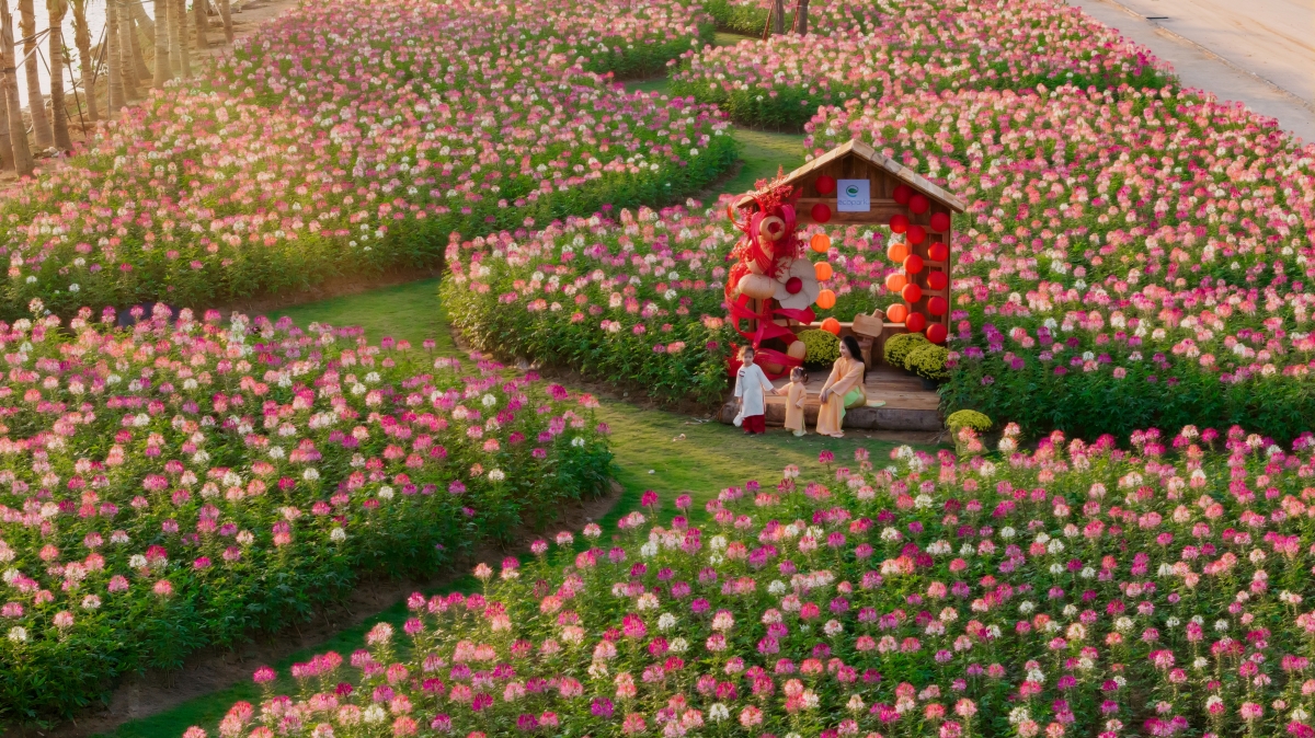 Tết giữa miền xanh tại các đại đô thị của nhà sáng lập Ecopark Tết giữa miền xanh tại các đại đô thị của nhà sáng lập Ecopark