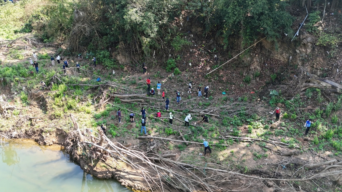 Dự án Leaf It To Us trao tặng 900 cây tre chống lũ tại phía tây tỉnh Nghệ An Dự án Leaf It To Us trao tặng 900 cây tre chống lũ tại phía tây tỉnh Nghệ An