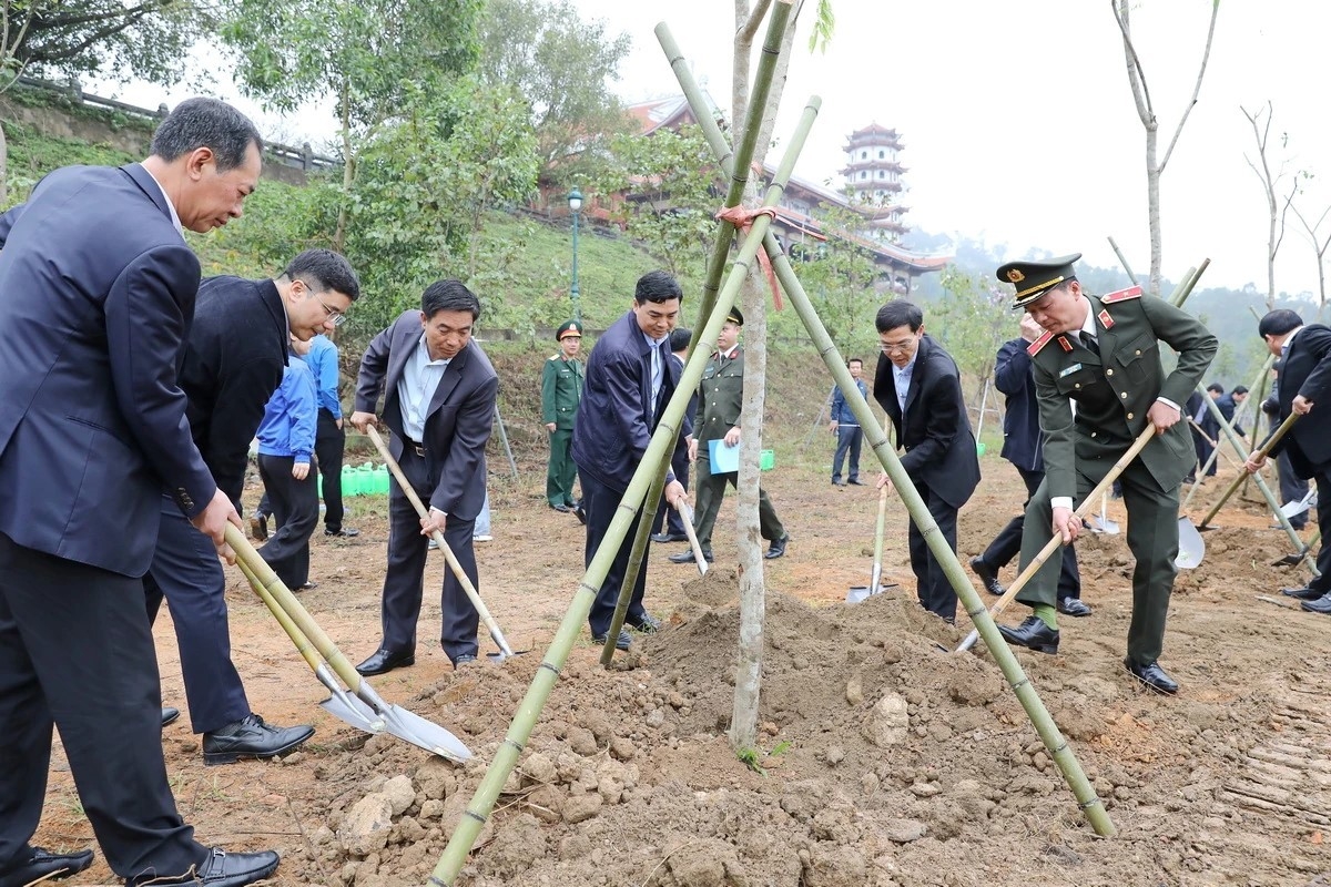 Thực hiện “Tết trồng cây đời đời nhớ ơn Bác Hồ” xuân Bính Ngọ năm 2026 Thực hiện “Tết trồng cây đời đời nhớ ơn Bác Hồ” xuân Bính Ngọ năm 2026