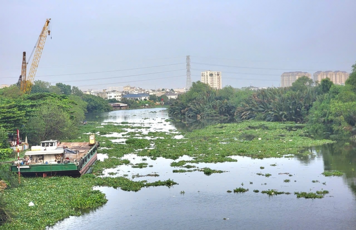 TP. HCM triển khai đồng bộ giải pháp xử lý lục bình và rác thải trôi từ các tuyến sông, kênh trôi dạt vào các bãi biển. 