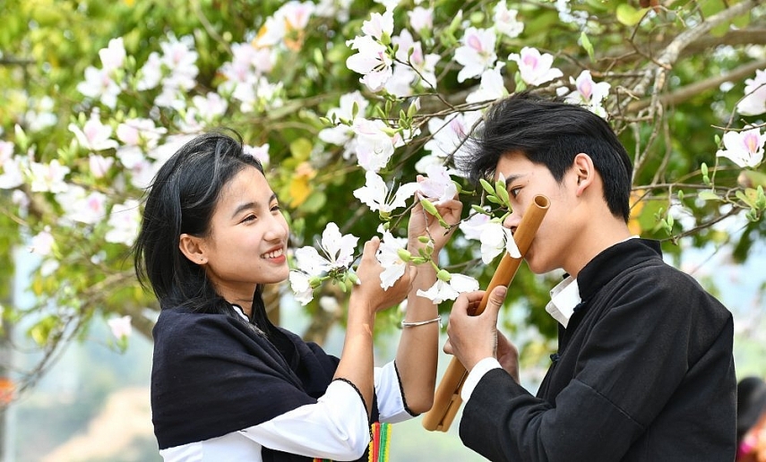 Hoa ban bung nở trắng núi rừng Tây Bắc