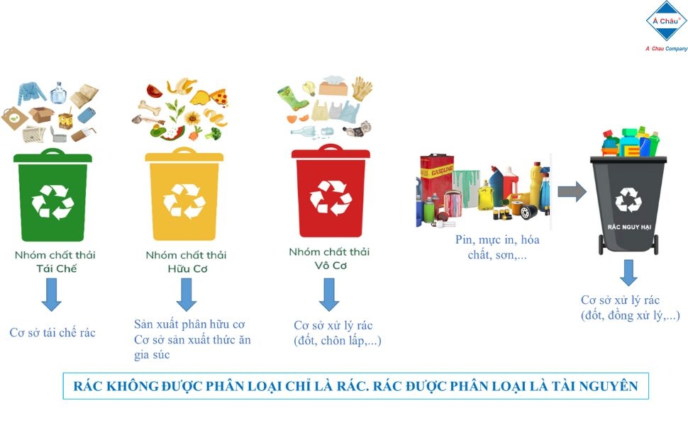 Phân loại rác - hành động nhỏ, ý nghĩa lớn