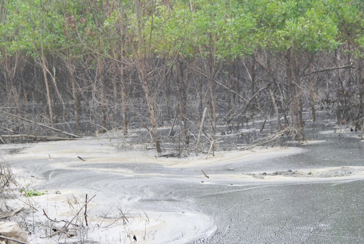 Nghệ An xử phạt Công ty CP Greenfoods Tân Kỳ 180 triệu đồng trong lĩnh vực môi trường Nghệ An xử phạt Công ty CP Greenfoods Tân Kỳ 180 triệu đồng trong lĩnh vực môi trường