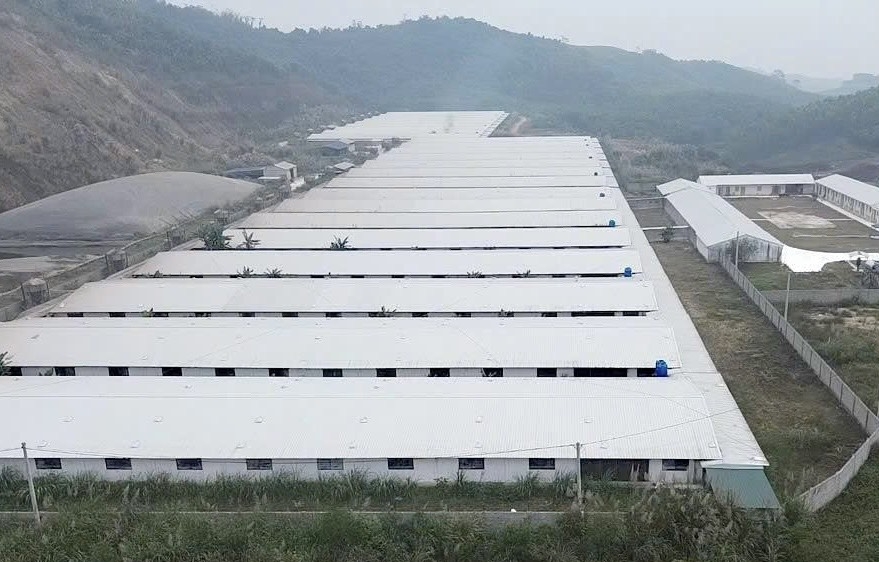 Nghệ An xử phạt Công ty CP Greenfoods Tân Kỳ 180 triệu đồng trong lĩnh vực môi trường Nghệ An xử phạt Công ty CP Greenfoods Tân Kỳ 180 triệu đồng trong lĩnh vực môi trường