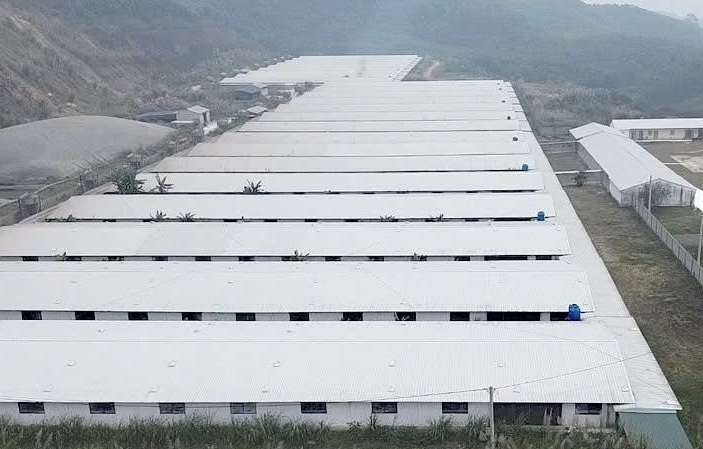 Nghệ An xử phạt Công ty CP Greenfoods Tân Kỳ 180 triệu đồng trong lĩnh vực môi trường