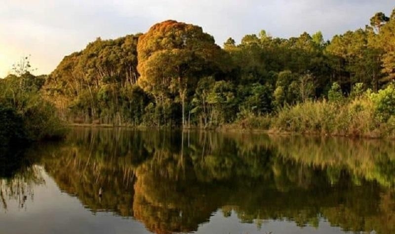 “Sứ giả đại ngàn” xuất hiện ở “kho báu xanh” Chư Mom Ray