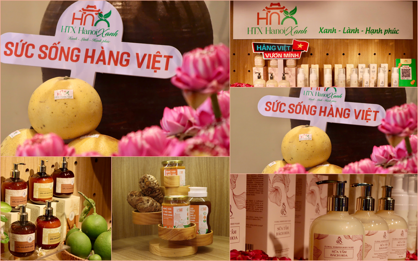 Không gian trưng bày, livestream "Sức sống hàng Việt" lần 3: "Thanh niên Việt Nam tự hào hàng Việt" - Ảnh 4.
