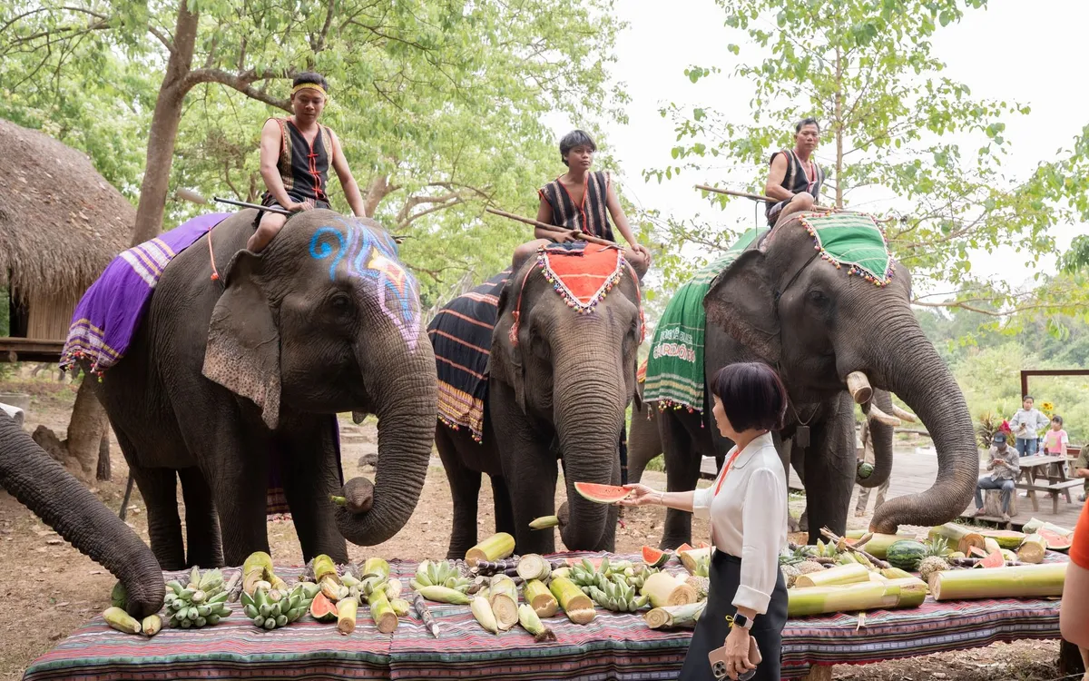 Dừng cưỡi Voi: Buôn Đôn mở lối phát triển du lịch thân thiện môi trường Dừng cưỡi Voi: Buôn Đôn mở lối phát triển du lịch thân thiện môi trường