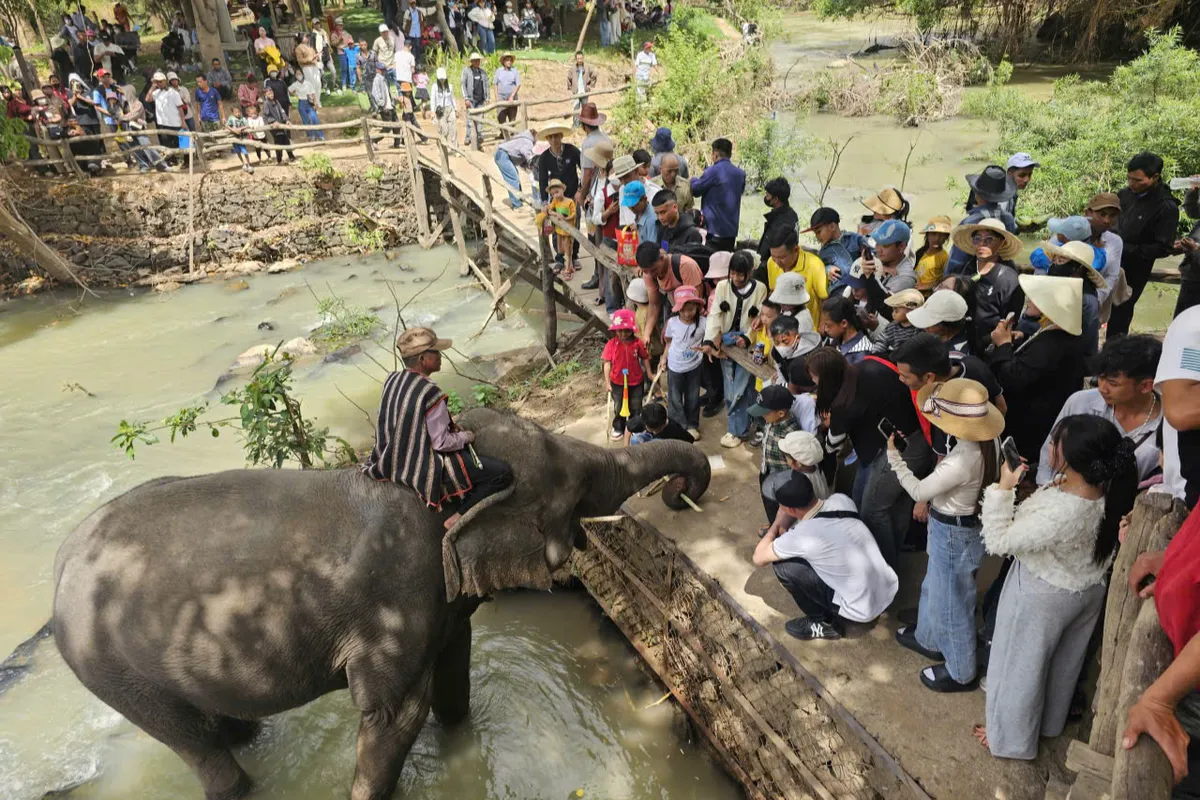 Dừng cưỡi Voi: Buôn Đôn mở lối phát triển du lịch thân thiện môi trường Dừng cưỡi Voi: Buôn Đôn mở lối phát triển du lịch thân thiện môi trường