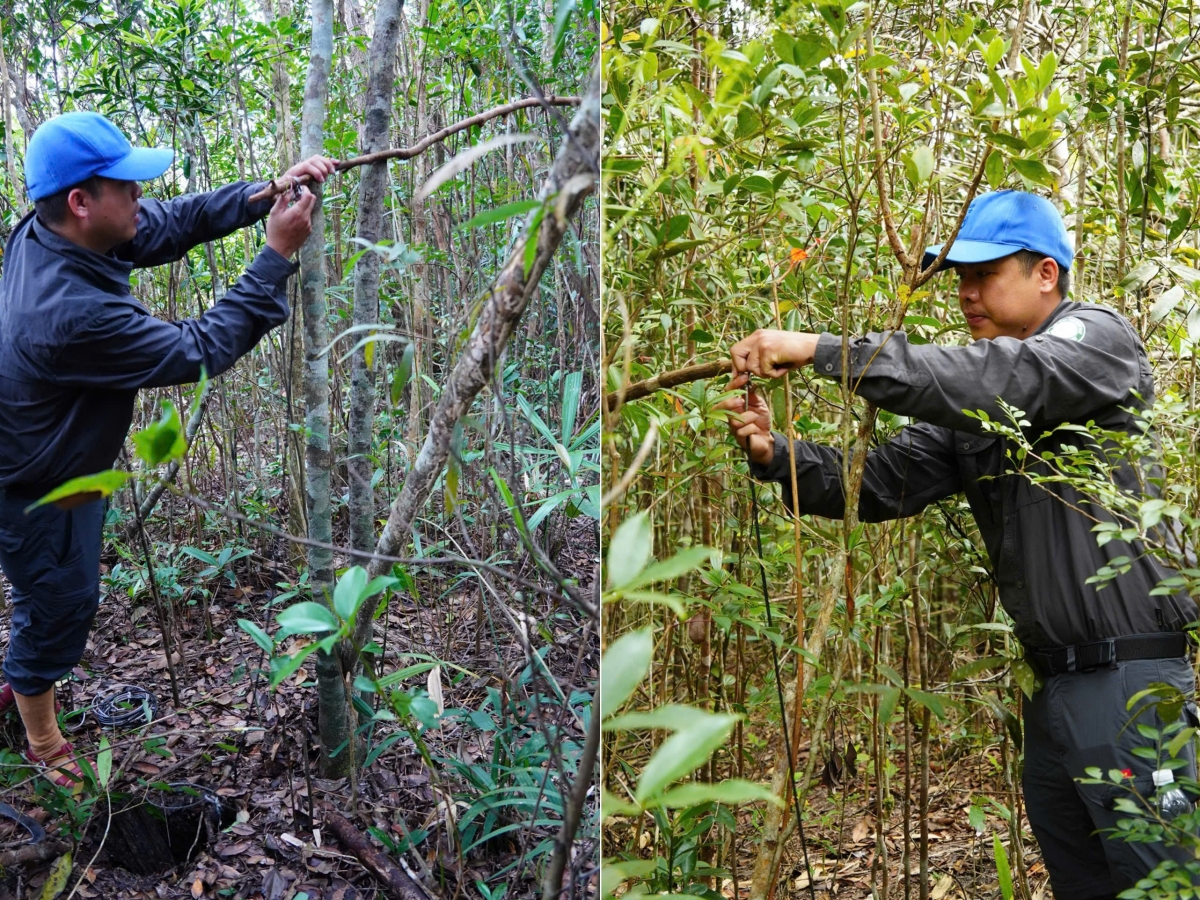 Lực lượng kiểm lâm chuyên trách thực hiện nhiệm vụ tuần tra, bảo vệ rừng
