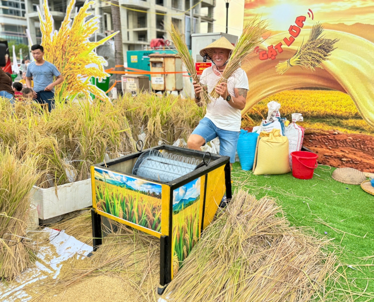 Du khách quốc tế thích thú tham gia trải nghiệm hoạt động thu hoạch lúa