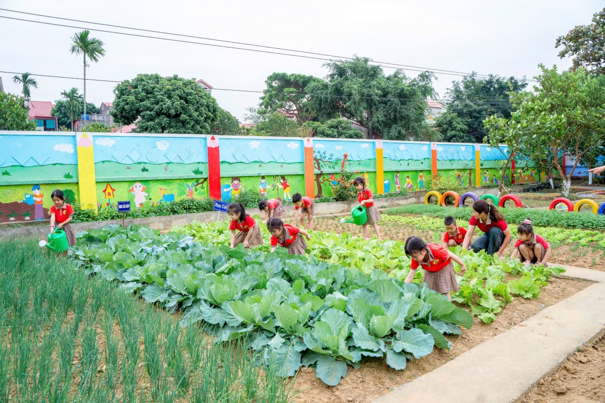 Nga Sơn (Thanh Hóa): Nỗ lực xây dựng trường mầm non “thân thiện, xanh – sạch – đẹp”