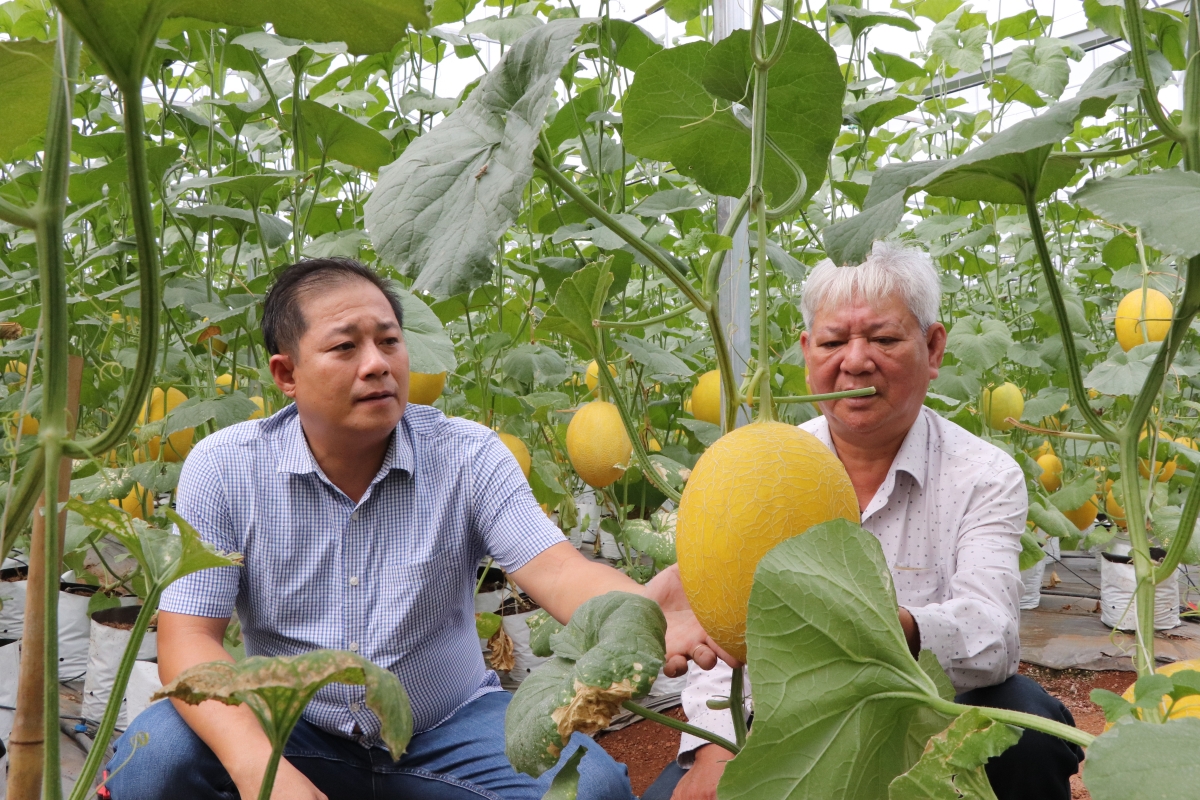 Xã Nghĩa Thành (TP.HCM) ưu tiên thu hút đầu tư công nghệ cao, kinh tế xanh